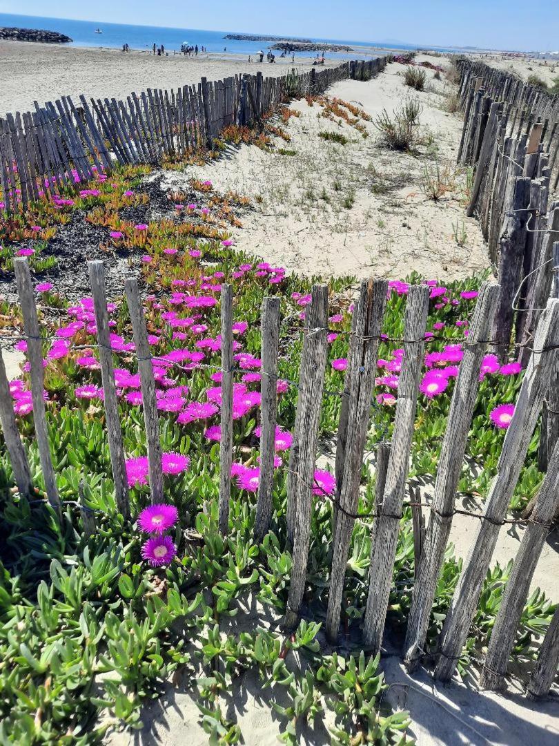 Maison A Marseillan Plage 外观 照片